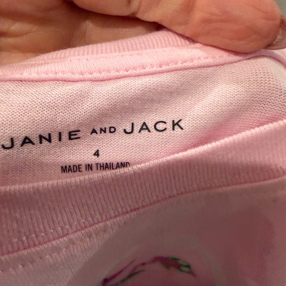 Janie and Jack Pink flamingo Swim Shorts and matching pink t-shirt set size 4 - Picture 3 of 6